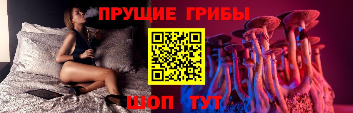 Галлюциногенные грибы Psilocybine cubensis Октябрьский